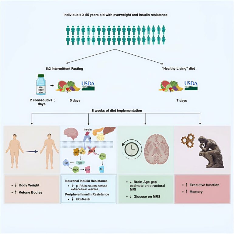 Pilot study provides 'blueprint' for evaluating diet's effect on ...