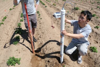 Printed sensors in soil could help farmers improve crop yields and ...