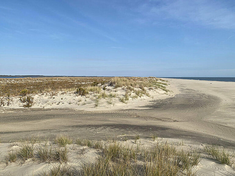 Q&A: Barrier islands and dunes protect coastlines, but how are ...