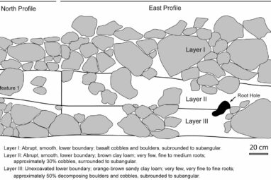 Rare Sāmoan discovery offers clues to origins of inequality