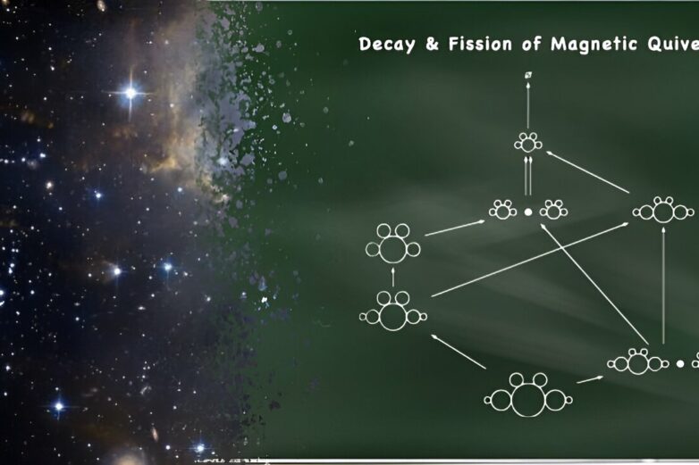 Reinterpreting the Higgs mechanism: Decay and fission of 'magnetic ...