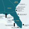Research finds dolphins with elevated mercury levels in Florida ...