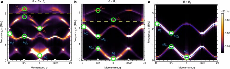 Researchers find magnetic excitations can be held together by ...