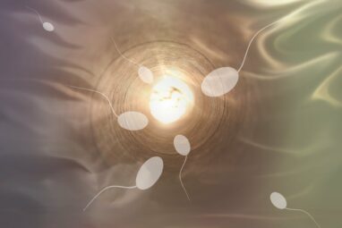 Researchers find no evidence that sperm counts are dropping