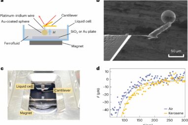 Researchers tune Casimir force using magnetic fields