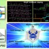 Scientists achieve high efficiency all-polymer solar cells through ...