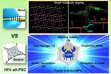 Scientists achieve high efficiency all-polymer solar cells through ...