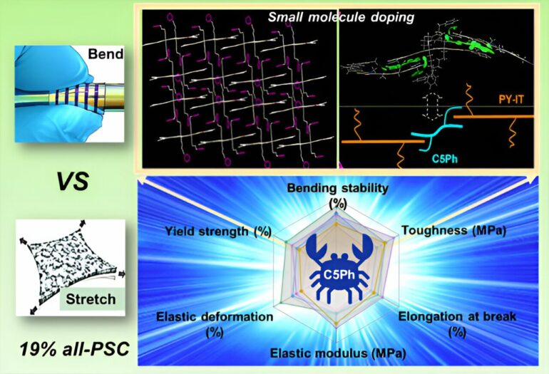 Scientists achieve high efficiency all-polymer solar cells through ...