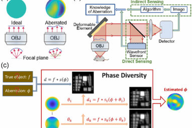 Scientists adapt astronomy method to unblur microscopy images