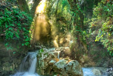 Scientists call for conservation of Amazon's unseen water cycle