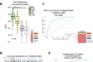 Scientists develop new method to match genes to their molecular ...