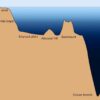 Shape and depth of ocean floor profoundly influence how carbon is ...