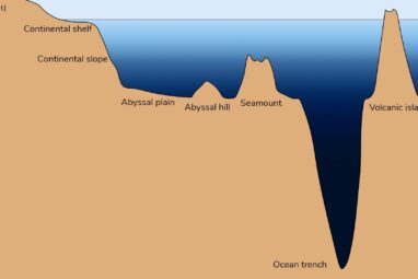 Shape and depth of ocean floor profoundly influence how carbon is ...