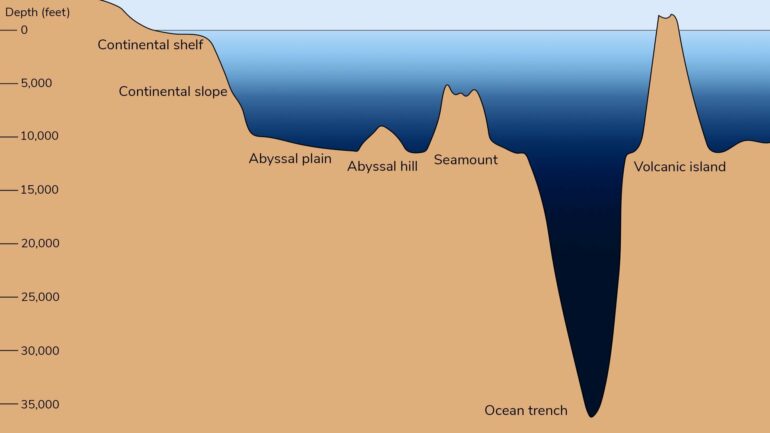 Shape and depth of ocean floor profoundly influence how carbon is ...