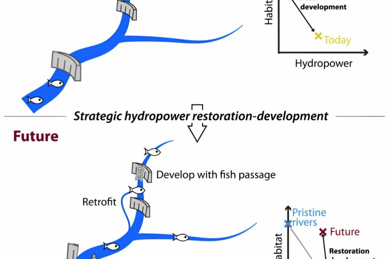 Strategic dam placement can balance hydropower and fish preservation