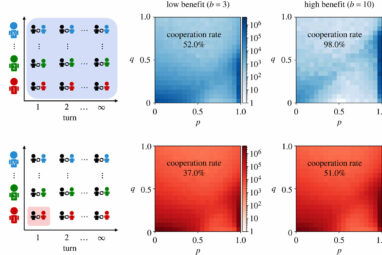 Study finds cooperation can still evolve even with limited payoff ...