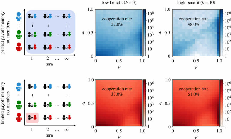 Study finds cooperation can still evolve even with limited payoff ...