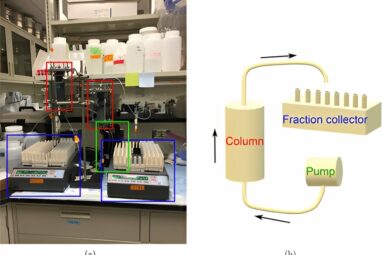 Study of radioiodine sorption and transport could help protect ...