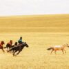 The rise of horse power ~4,200 years ago