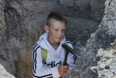 Three boys found a T. rex fossil in North Dakota. Now a Denver ...