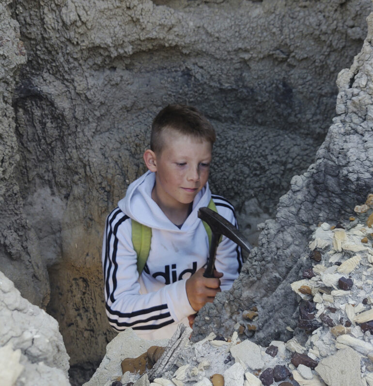 Three boys found a T. rex fossil in North Dakota. Now a Denver ...
