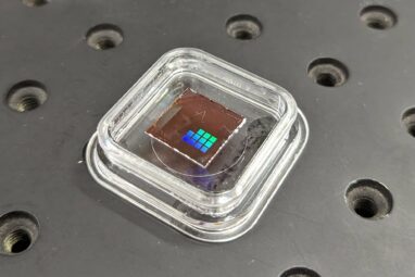 Tiny crop-health sensors could help cut the cost of groceries