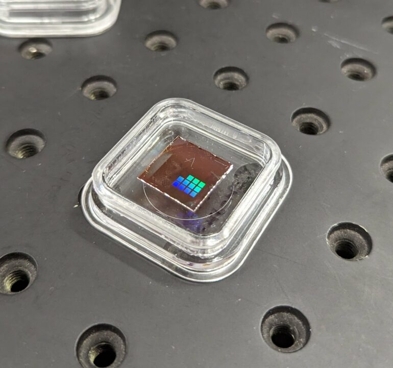 Tiny crop-health sensors could help cut the cost of groceries