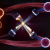 Toward testing the quantum behavior of gravity: A photonic quantum ...