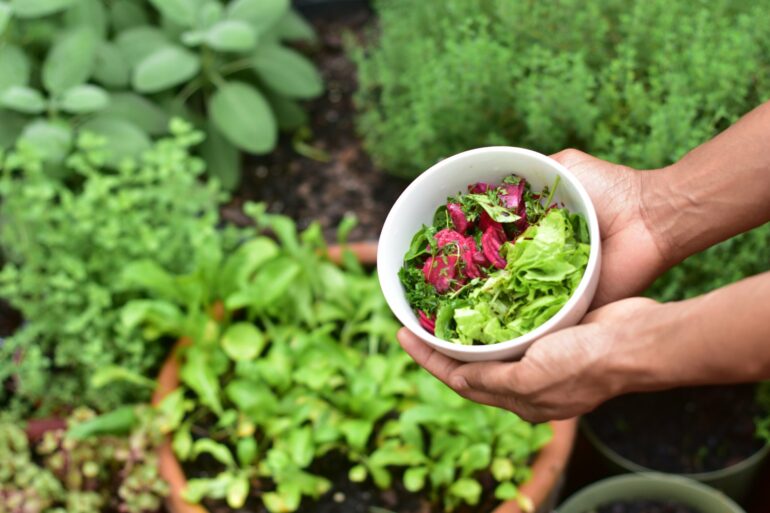 Vegetable gardening can improve health outcomes for cancer ...