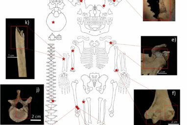 Victims of a tsunami or human sacrifice? What happened to 20 Celts ...