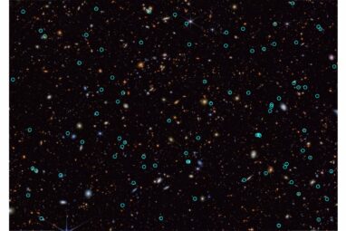 Webb opens new window on supernova science