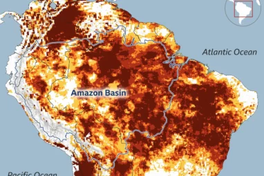 Amazon's record drought driven by climate change