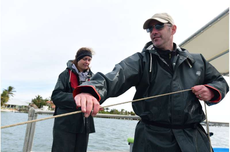 Restored oyster sanctuaries host more marine life