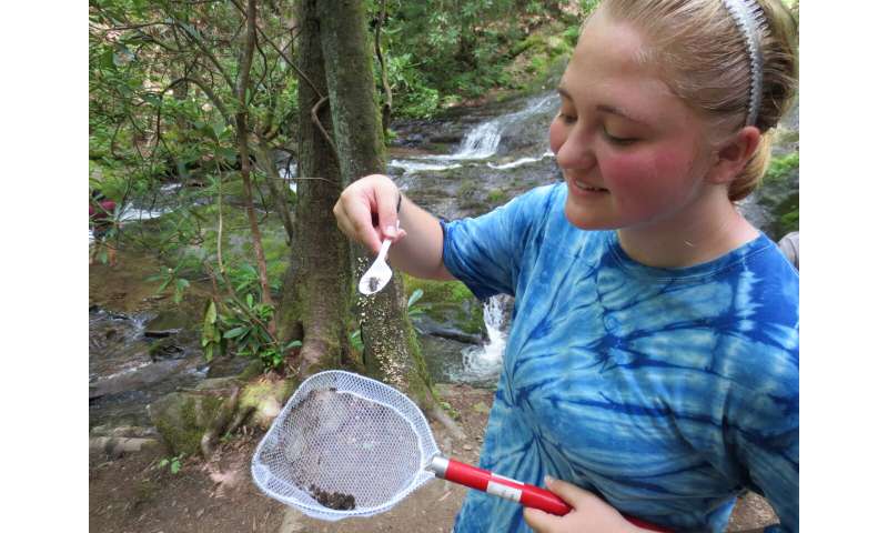 USGS: Local dragonflies expose mercury pollution patterns