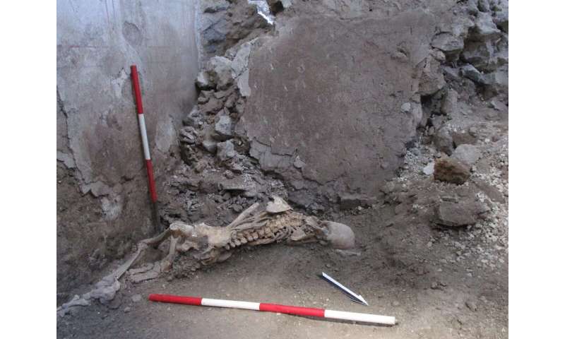 Pompeii skeleton discovery shows another natural disaster may have made Vesuvius eruption even more deadly