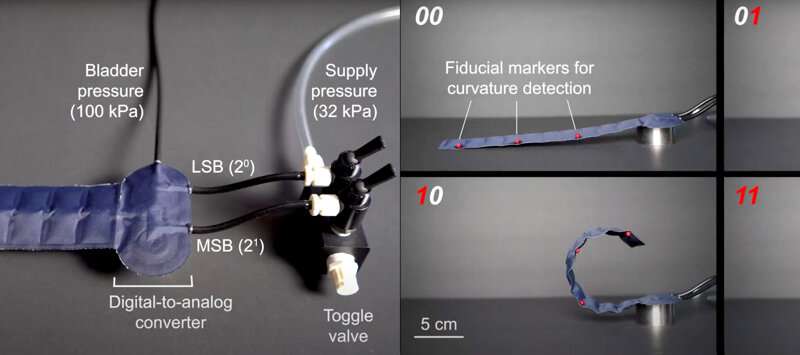 Foam fluidics showcase Rice lab's creative approach to circuit design