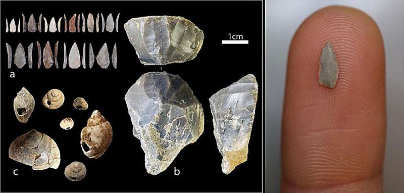 Ancient volcanic eruption not key to early Homo sapiens cultural innovations