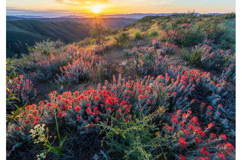 California a botanical and climate change hot spot