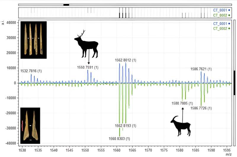 Early Pyrenean Neolithic groups applied species selection strategies to produce bone artefacts