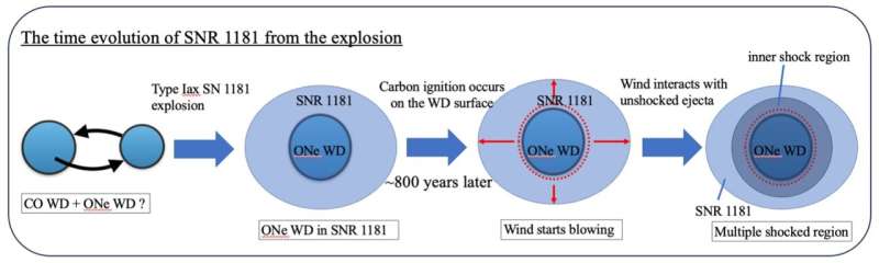 Fresh wind blows from historical supernova