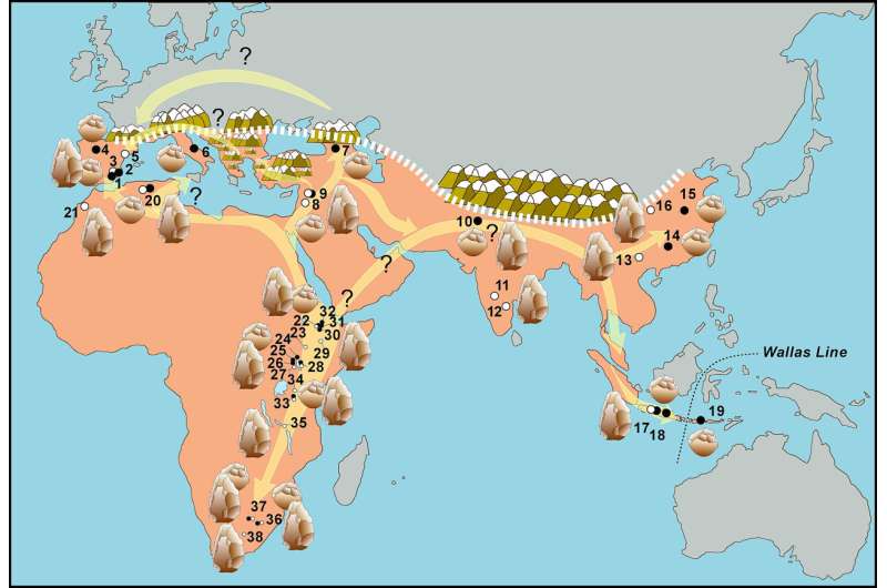 New geological datings place the first European hominids in the south of the Iberian Peninsula 1.3 million years ago