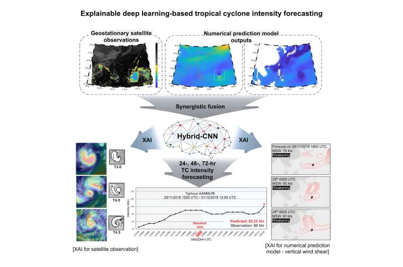 New study unveils ways to predict typhoon intensity