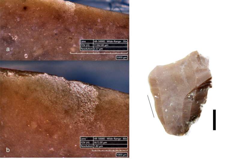 Cook like a Neanderthal: Scientists try to replicate ancient butchering methods to learn how Neanderthals ate birds