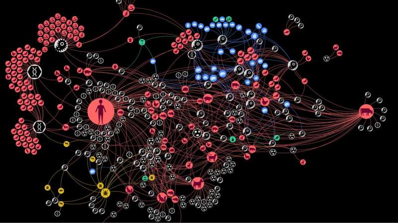 Study unveils complexity of zoonotic transmission chains