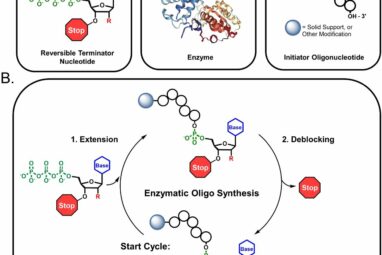 A better way to make RNA drugs: Enzymatic synthesis method expands ...