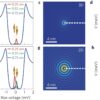 Coherent long-range magnetic bound states in a superconductor ...