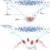 A step closer to optical computers: Researchers develop an all ...