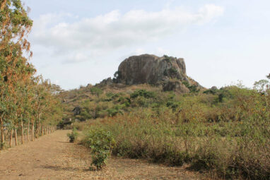 Archaeologists report earliest evidence for plant farming in east ...