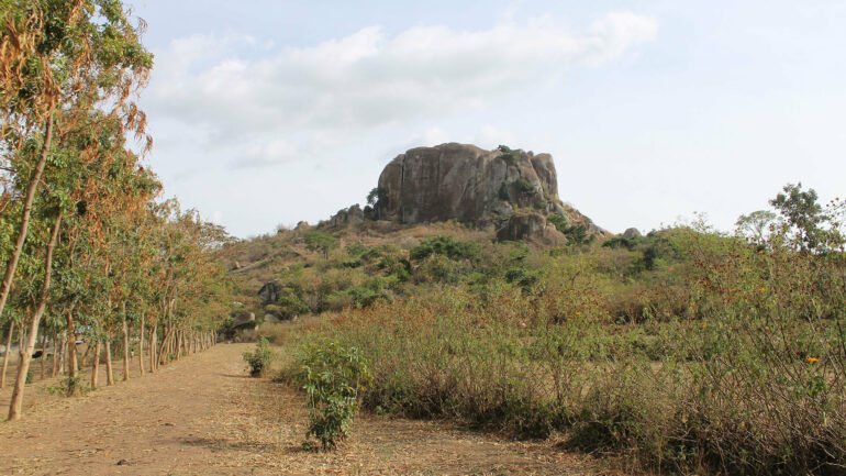 Archaeologists report earliest evidence for plant farming in east ...