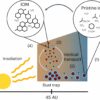 Astronomers explain rapid formation of organic macromolecules in ...